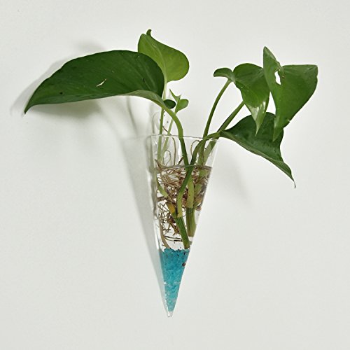 Vase Mural En Verre Transparent - Forme Cône - Pour Fleurs Ou Hydroponie - Lot De 2 - Décoration Intérieure Style Nordique