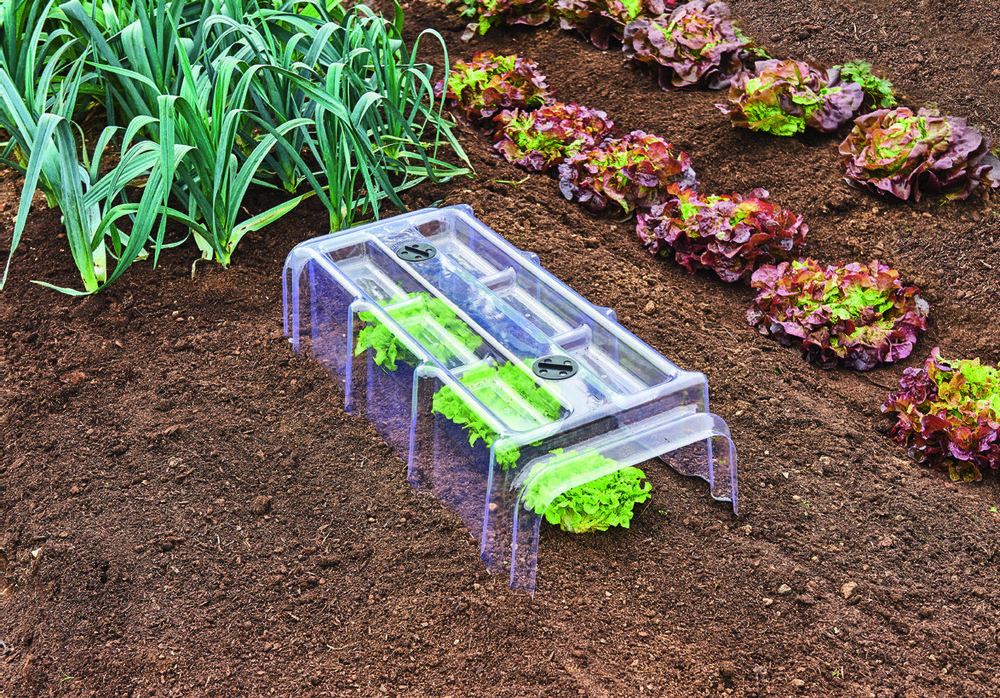 mini-tunnel-rigide-de-for-age-beaux-jours-3601029942738