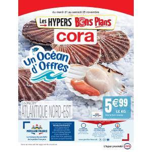 Un océan d'offres