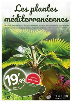 Leclerc plantes méditerranéennes