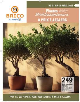 Leclerc PLANTES MEDITERRANEENES