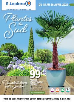 Spécial plantes méditerranéennes