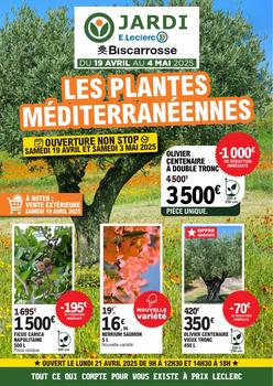 Leclerc ARRIVAGE VEGETAUX JARDI 2025