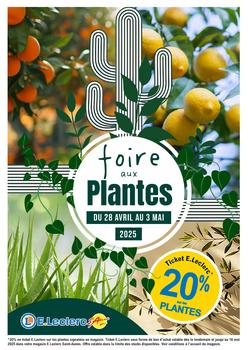 FOIRE AUX PLANTES