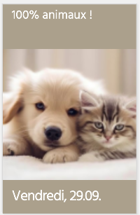 100% animaux !