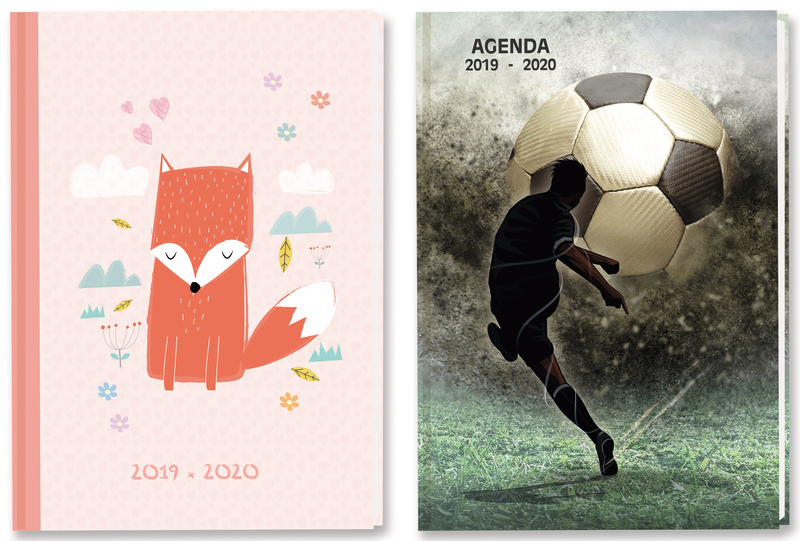 AGENDA SCOLAIRE 12X17 CM PRIMAIRE DOMEDIA