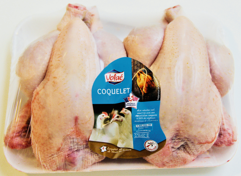 2 COQUELETS VOLAE