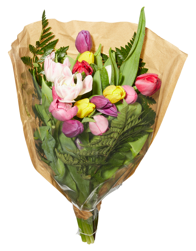 BOUQUET 15 TULIPES ARLEQUIN AVEC FOUGÈRES  0000000000032 