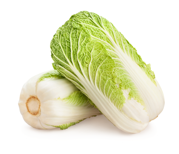 Chou Chinois 0000000204880 