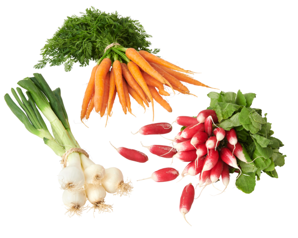  Radis, Carottes Ou Oignons code EAN 0000000255851 