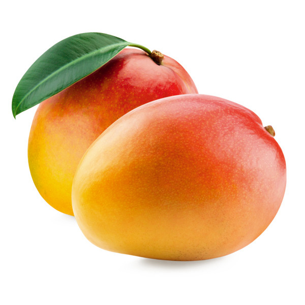  Mangue code EAN 0000000310000 