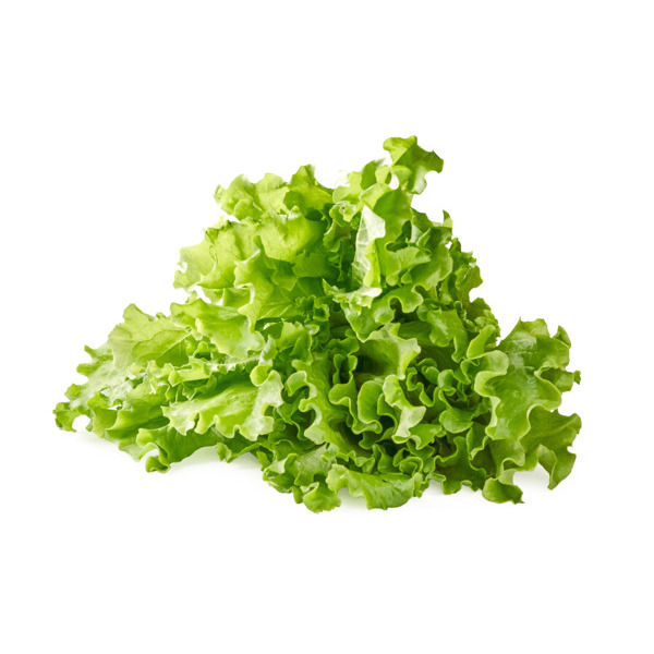  Salade Filière "Auchan Cultivons Le Bon" code EAN 0000000420105 