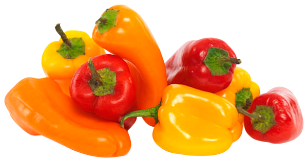  Mini Poivrons Tricolores code EAN 0000000843584 