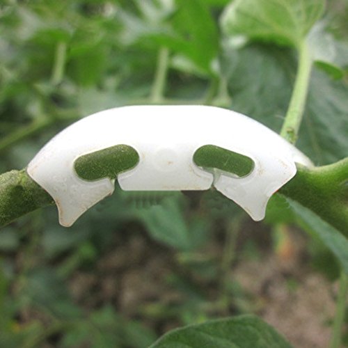 100pcs Pince Tomate Clip De Fixation De Support...