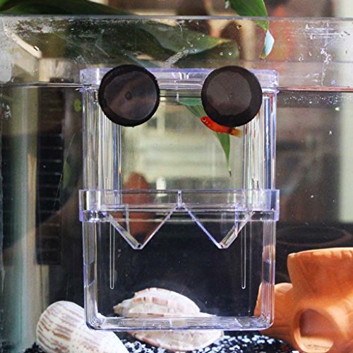 Générique Boîte écloserie D'alevins Aquarium Fish Elevage Incubateur Réservoir code EAN 0008853457750 