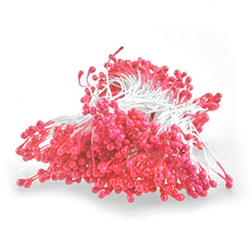 Fleur conseils double perle fleur stamen floral...