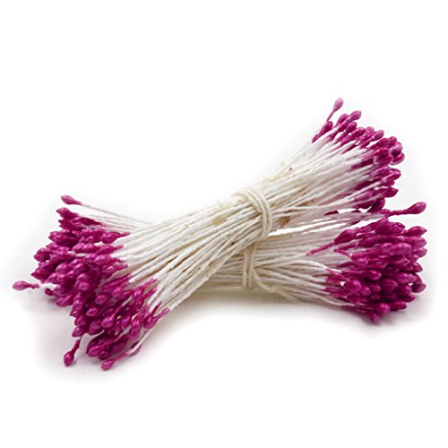 Fleur conseils double perle fleur stamen floral...