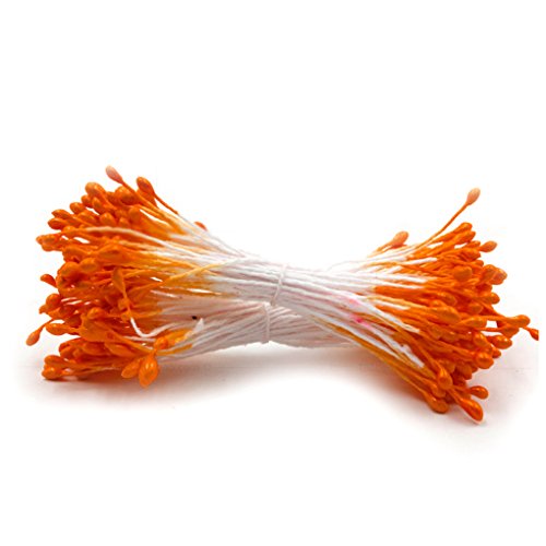 Fleur conseils double perle fleur stamen floral...