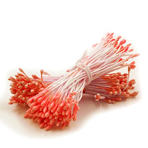 Fleur conseils double perle fleur stamen floral...