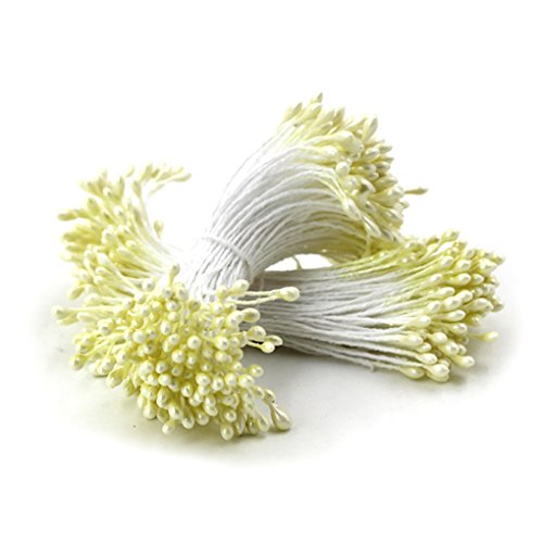 Fleur conseils double perle fleur stamen floral...