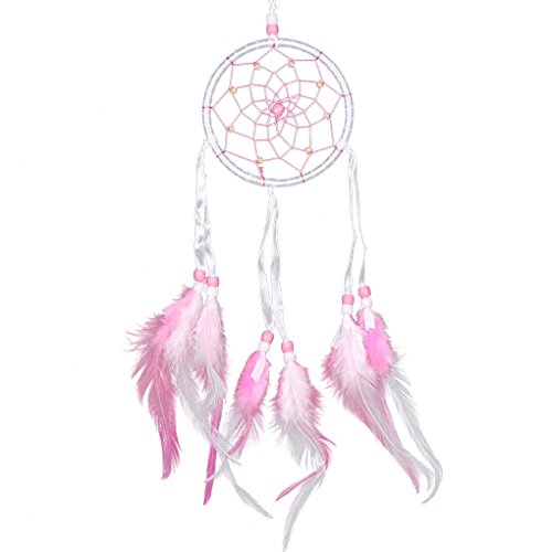 Plumes car la main dream catcher circulaire net...