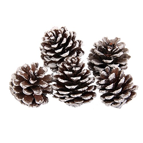 Générique 9PCS Pomme de Pin Décoration à Suspendre pour Sapin de Noël code EAN 0024606060411 