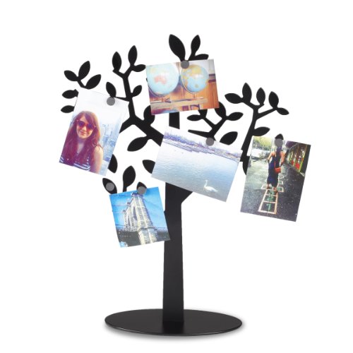 306600-040 laurel porte photo bureau display noir