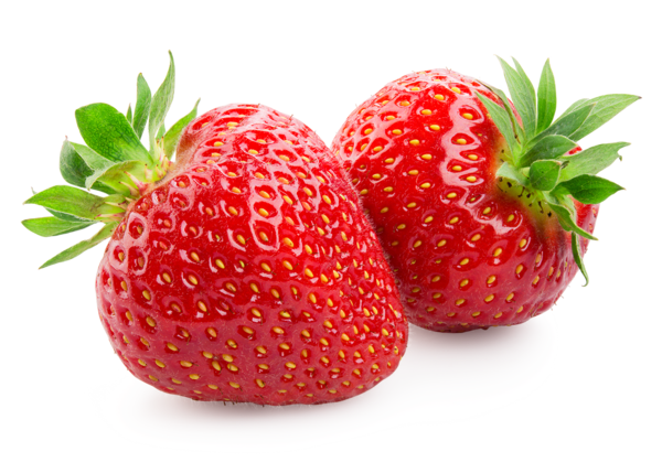  Fraises Rondes code EAN 0037600561549 
