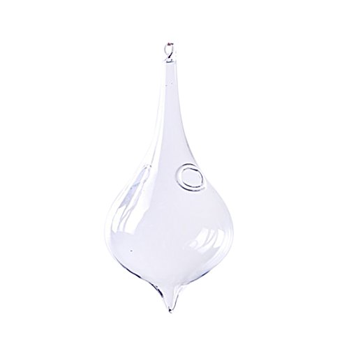 Vase en Verre de Décoration Bouteille Suspendus...