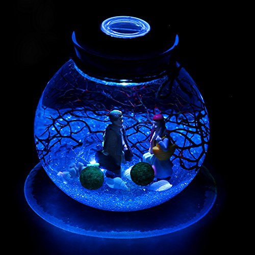 Bocal en Verre Bouteille Contenant Vide Transpa...