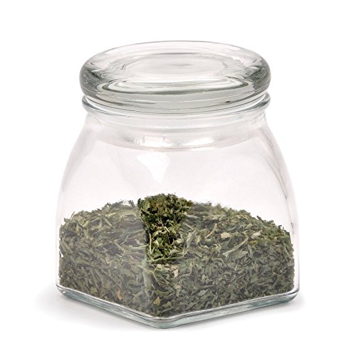 RSVP Big Mouth SPICE JAR Glass Airtight 0053796403890 rsvp