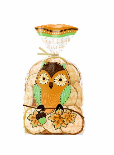 Lot de 20 mystic automne parti sac