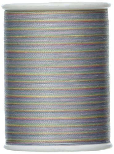 Double Duty Plus main Quilting multicolore fil ...