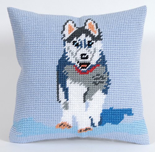 Kit canevas gros trous Husky C20N76K