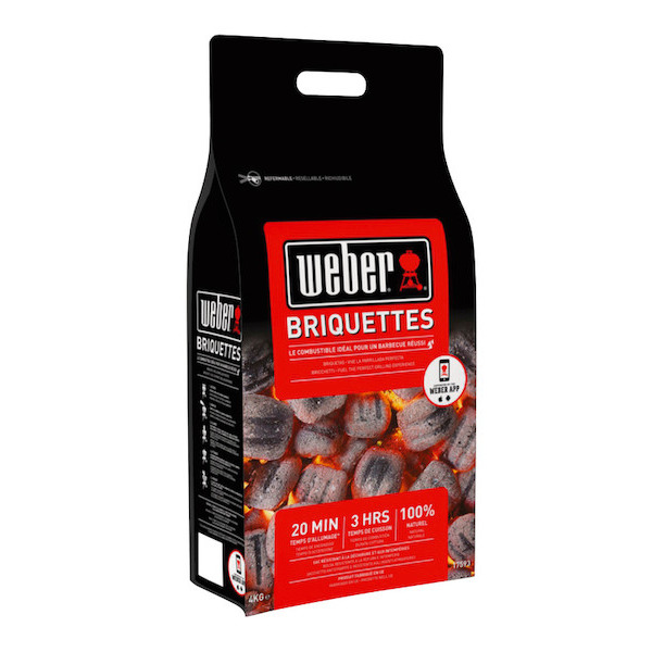 Briquette de charbon  0077924048869 (0077924048869)