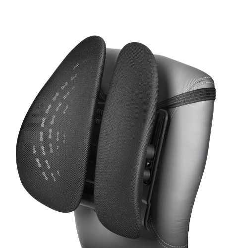 Smartfit support pour lombaire