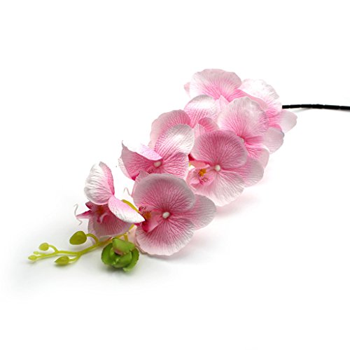 Artificielle Fleur Orchidée Papillon de Tissu P...