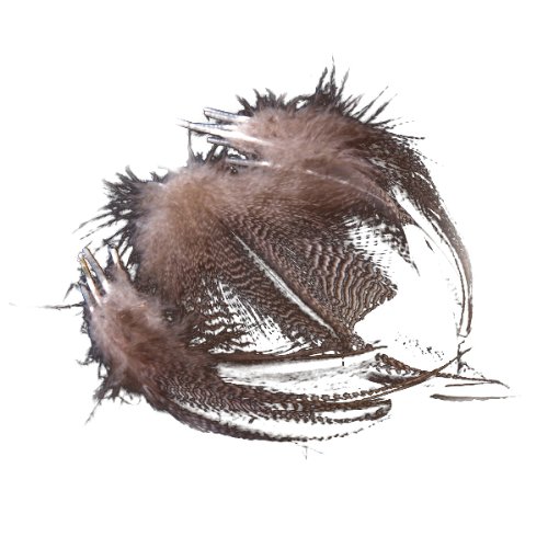 20pcs Plumes de faisan Naturelles pour Artisanat Masque Chapeau 0092145580134 Générique