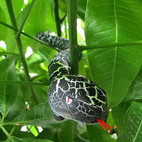 Nouveauté télécommande infrarouge serpent & oeu...