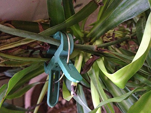 20pcs Clips Plastique de Fixation pour Jardin P...