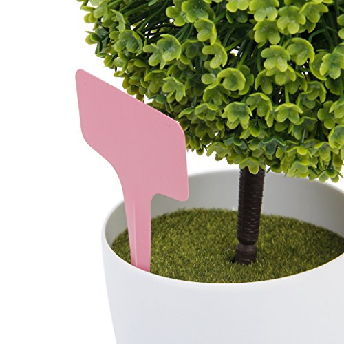 Marqueurs Etiquettes Plante de Pépinière Arbust...