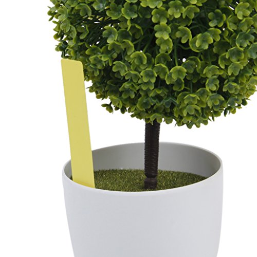 Marqueurs Etiquettes Plante de Pépinière Arbust...