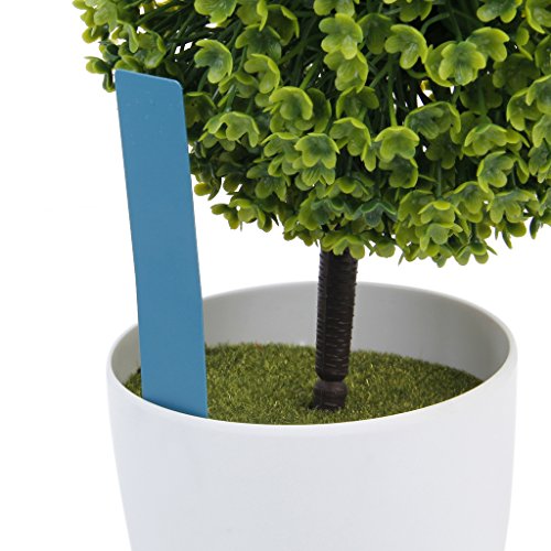 Marqueurs Etiquettes Plante de Pépinière Arbust...