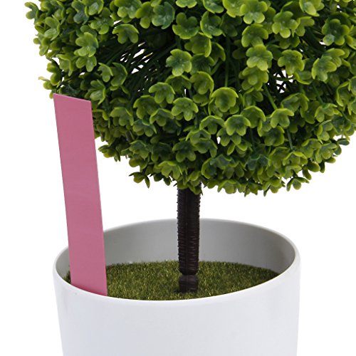 Marqueurs Etiquettes Plante de Pépinière Arbust...