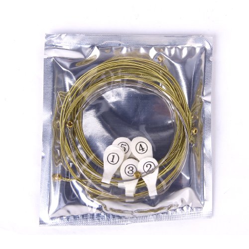 Générique Un ensemble de 6 Cordes pour Guitare Acoustique code EAN 0095225900556 