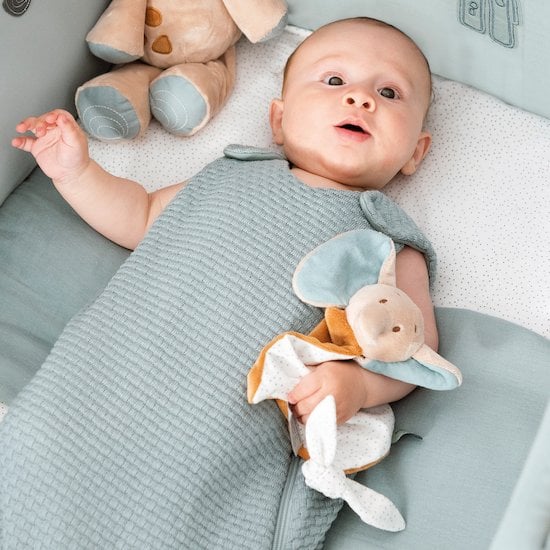  Luna & Axel Doudou Axel  de Nattou code EAN 01158103 