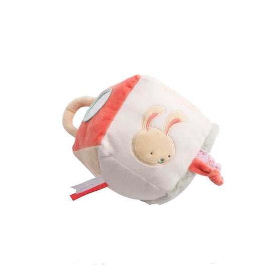  Iris et Malo Cube d'activité Iris  de P'tit bisou code EAN 01177767 