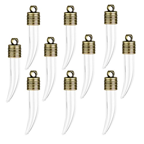 Souhait bouteille 10pcs mini vide chili flacons...