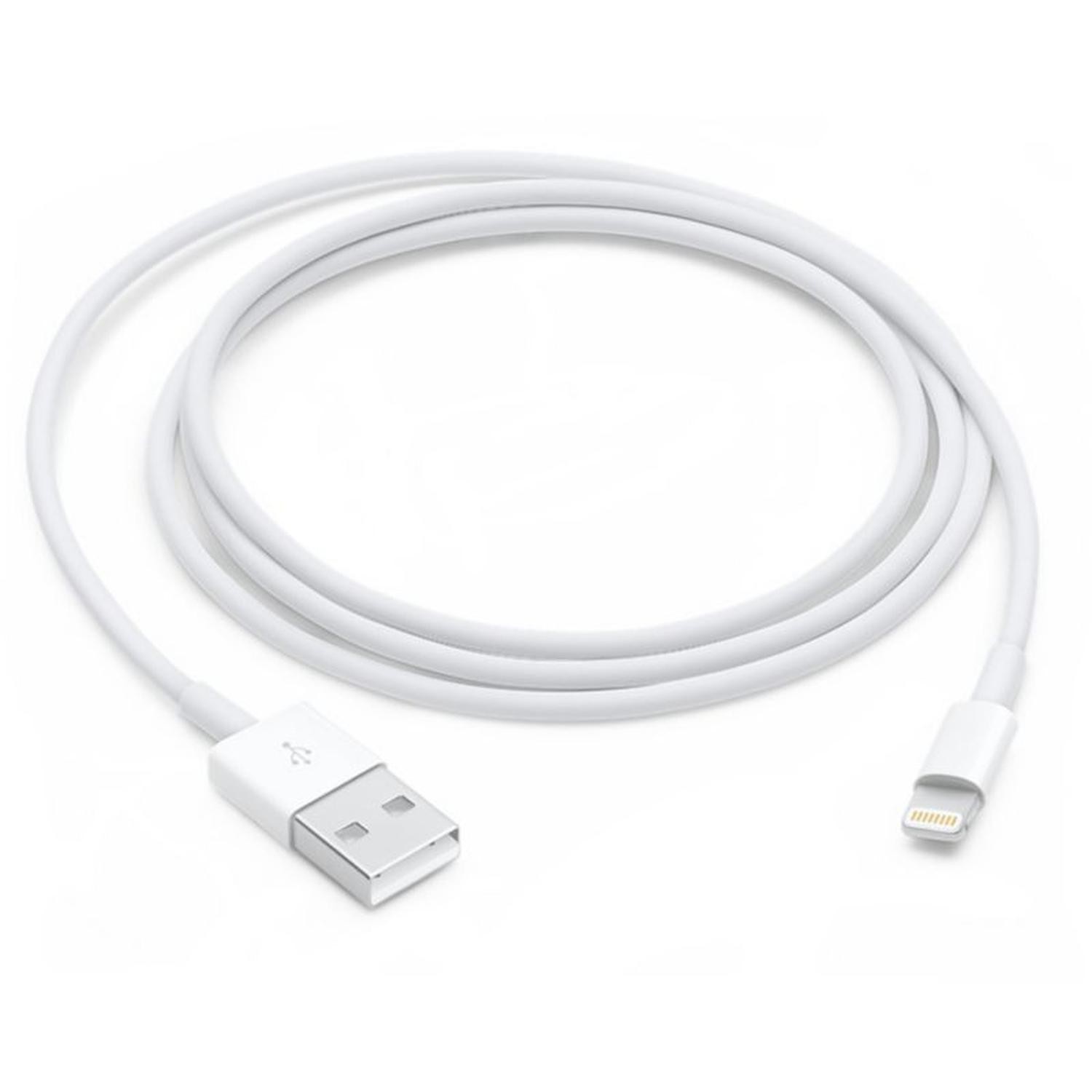 Câble Lightning USB APPLE