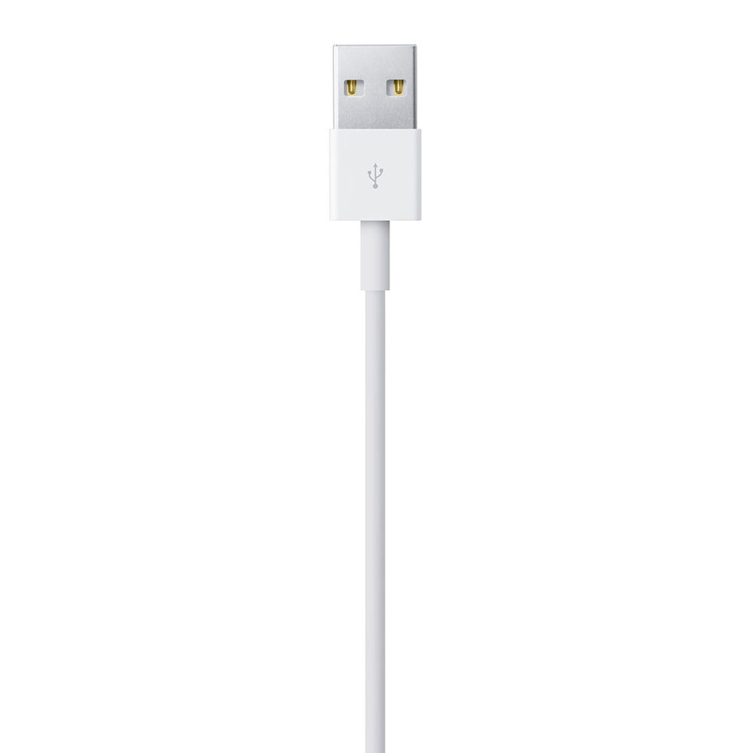 Câble Lightning vers USB 1m